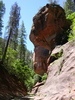 photo thumbnail #4