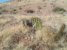 photo thumbnail #2