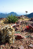 photo thumbnail #9