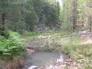 photo thumbnail #1