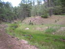 photo thumbnail #5
