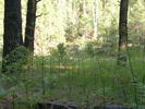 photo thumbnail #11
