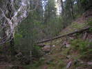 photo thumbnail #12