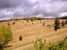 photo thumbnail #11