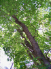 photo thumbnail #12