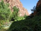 photo thumbnail #11