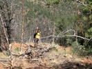 photo thumbnail #3