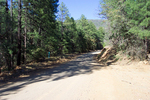 photo thumbnail #3