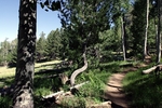 photo thumbnail #1