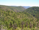 photo thumbnail #7