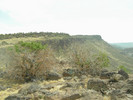 photo thumbnail #14