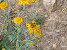photo thumbnail #11
