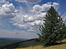 photo thumbnail #15