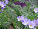 photo thumbnail #8