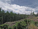 photo thumbnail #10