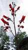 photo thumbnail #13