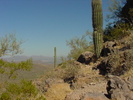 photo thumbnail #2