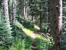 photo thumbnail #1