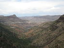photo thumbnail #8