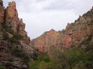 photo thumbnail #8