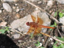 photo thumbnail #2