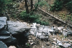 photo thumbnail #6