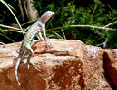 photo thumbnail #2
