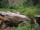 photo thumbnail #4