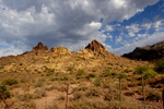 photo thumbnail #1
