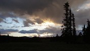 photo thumbnail #12
