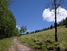 photo thumbnail #2