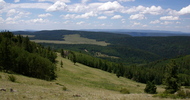 photo thumbnail #4
