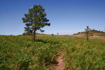 photo thumbnail #10