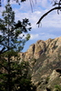 photo thumbnail #10