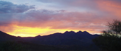 photo thumbnail #5