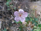 photo thumbnail #9