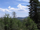 photo thumbnail #13
