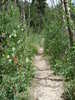 photo thumbnail #2