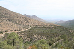photo thumbnail #10