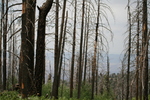 photo thumbnail #13