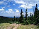 photo thumbnail #15