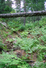 photo thumbnail #13