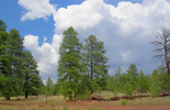 photo thumbnail #2