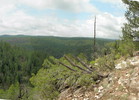 photo thumbnail #5