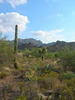 photo thumbnail #1