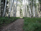 photo thumbnail #2