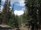 photo thumbnail #3