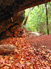 photo thumbnail #8