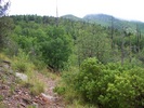 photo thumbnail #2