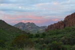 photo thumbnail #2